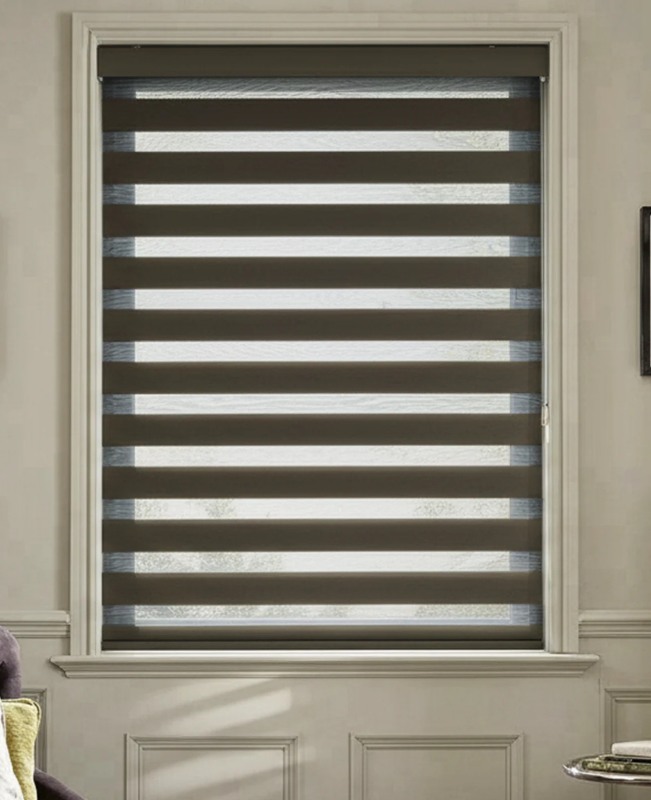 Zebra Shades